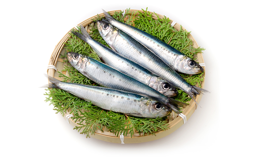 鰯の栄養と効果